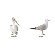 Комплект із восьми книг із серії  Комплект із восьми книг із серії