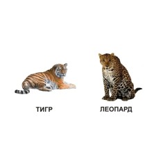 Комплект із восьми книг із серії  Комплект із восьми книг із серії