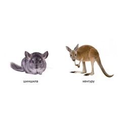 Комплект із восьми книг із серії  Комплект із восьми книг із серії