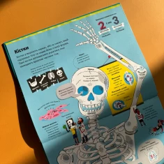 Книга Велика книга про тіло - Мінна Лейсі Книга Велика книга про тіло - Мінна Лейсі