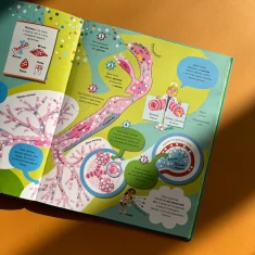 Книга Велика книга про тіло - Мінна Лейсі Книга Велика книга про тіло - Мінна Лейсі