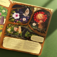 Книга Незвичайна дружба у світі рослин і тварин - Емілія Дзюбак