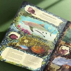 Книга Незвичайна дружба у світі рослин і тварин - Емілія Дзюбак