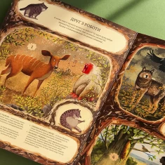 Книга Незвичайна дружба у світі рослин і тварин - Емілія Дзюбак