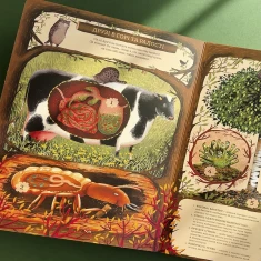 Книга Незвичайна дружба у світі рослин і тварин - Емілія Дзюбак