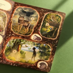 Книга Незвичайна дружба у світі рослин і тварин - Емілія Дзюбак