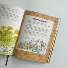 Книга Пригоди Петсона та Фіндуса - Нордквіст Свен