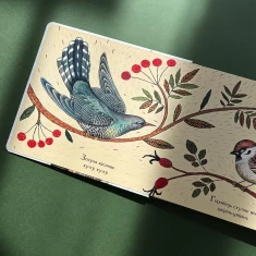 Книга Пташина колискова - Оксана Лущевська