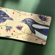 Книга Пташина колискова - Оксана Лущевська