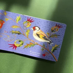 Книга Пташина колискова - Оксана Лущевська