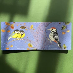 Книга Пташина колискова - Оксана Лущевська