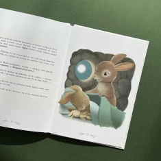 Книга Кролик, який хотів заснути - Карл-Йохан Форсен Ерлін Книга Кролик, який хотів заснути - Карл-Йохан Форсен Ерлін