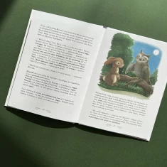 Книга Кролик, який хотів заснути - Карл-Йохан Форсен Ерлін Книга Кролик, який хотів заснути - Карл-Йохан Форсен Ерлін