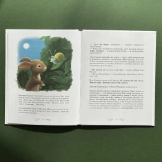 Книга Кролик, який хотів заснути - Карл-Йохан Форсен Ерлін Книга Кролик, який хотів заснути - Карл-Йохан Форсен Ерлін