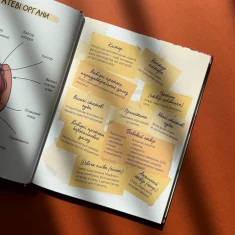 Книга У гармонії з тілом. Про менструацію та дорослішання - Анна Сальвія Рібера, Крістіна Торрон Віяльта Книга У гармонії з тілом. Про менструацію та дорослішання - Анна Сальвія Рібера, Крістіна Торрон Віяльта