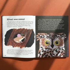 Книга Про сон перед сном - Джекі МакКенн, Джен Арена, Рейчел Валентайн, Саллі