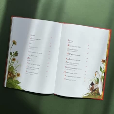Книга Дитячий кобзар - Тарас Шевченко Книга Дитячий кобзар - Тарас Шевченко
