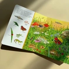 Книга Тварини. Розглядай та шукай - Урсула Веллер