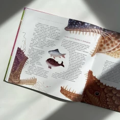 Книга Казки Дракона Омелька - Сашко Дерманський