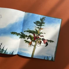 Книга Гектор Лис і Відчайдушний політ - Астрід Шекелс