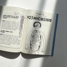 Книга Анатомія для дітей - Адам Кей