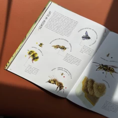 Книга Комахи на всі 100% - Вальтер Фоґато