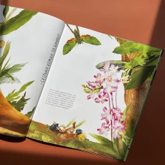 Книга Комахи на всі 100% - Вальтер Фоґато