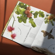 Книга Комахи на всі 100% - Вальтер Фоґато