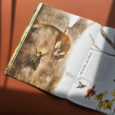 Книга Комахи на всі 100% - Вальтер Фоґато