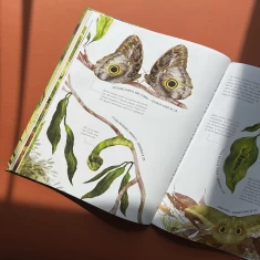 Книга Комахи на всі 100% - Вальтер Фоґато