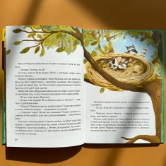 Книга Казковий ліс. Пригоди єнотиків-бешкетників - Юлія Олефір