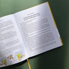 Книга Тореадори з Васюківки. Пригоди Робінзона Кукурузо - Всеволод  Нестайко