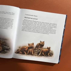 Книга Експедиція за дивовижними тваринами - Олена Шкаврон, Наталія Шейн