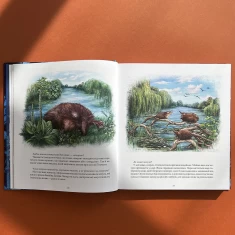 Книга Експедиція за дивовижними тваринами - Олена Шкаврон, Наталія Шейн