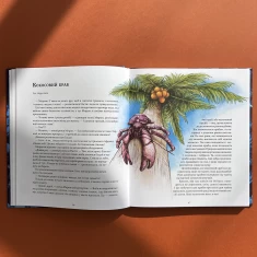 Книга Експедиція за дивовижними тваринами - Олена Шкаврон, Наталія Шейн