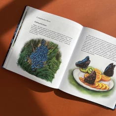 Книга Експедиція за дивовижними тваринами - Олена Шкаврон, Наталія Шейн