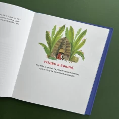 Книга Різдво і мої дванадцять бабусь - Катерина Єгорушкіна