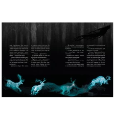 Книга Гаррі Поттер і в’язень Азкабану. Велике ілюстроване видання - Джоан Ролінґ