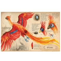 Книга Гаррі Поттер і таємна кімната. Велике ілюстроване видання - Джоан Ролінґ