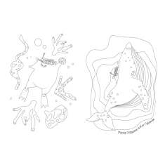 Розмальовка Містер Подушка та Кит Ґудзичок - Дарія Біла Розмальовка Містер Подушка та Кит Ґудзичок - Дарія Біла