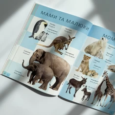 Книга Перша книга малюка/Baby's first book - Лілія Гуменна