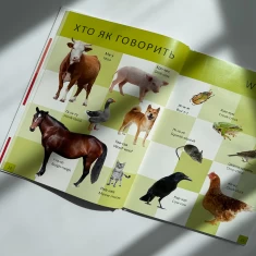 Книга Перша книга малюка/Baby's first book - Лілія Гуменна