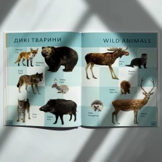 Книга Перша книга малюка/Baby's first book - Лілія Гуменна