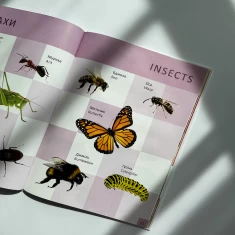 Книга Перша книга малюка/Baby's first book - Лілія Гуменна