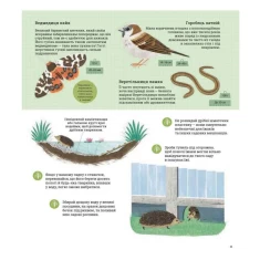 Книга Як допомогти їжачкові та захистити полярного ведмедя - Джес Френч