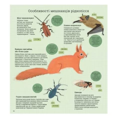 Книга Як допомогти їжачкові та захистити полярного ведмедя - Джес Френч