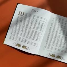 Книга Мова: таємниці відьом - Наталя Місюк