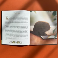 Книга Мова: таємниці відьом - Наталя Місюк