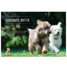 Книга Про мислення і почуття тварин - Карстен Брензинґ Книга Про мислення і почуття тварин - Карстен Брензинґ