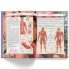 Книга Усе про тіло людини. 1000 цікавих фактів - Аліна Котка